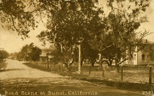 Road Scene at Sunol, California, mailed 1914      
